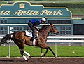 Santa Anita