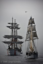 Tallships parade